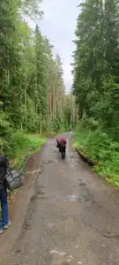 Драгунский ручей - 38