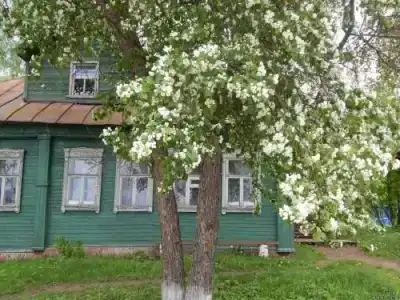 Спарта - 2
