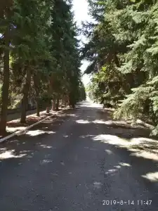 ЦМРСЛ Феодосийский - 39