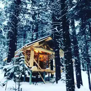 Сказочный лес - 2