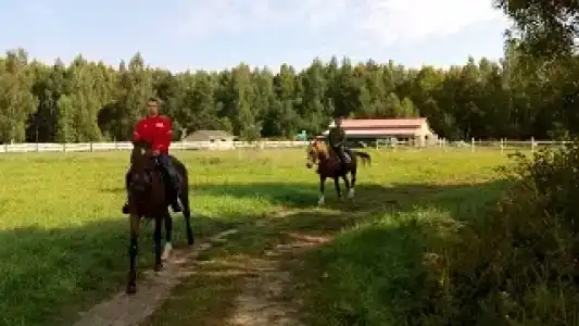 Ситское подворье - 26