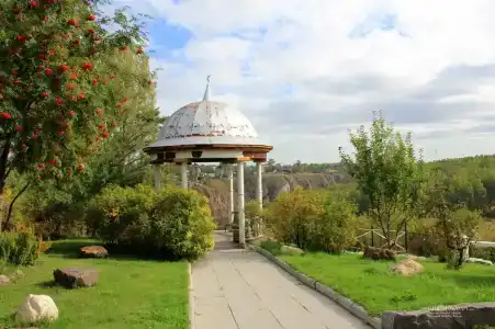 Сосновый бор - 1