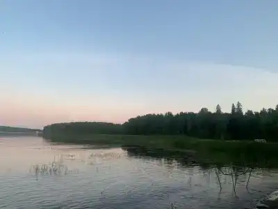 Лесной Дом - 27
