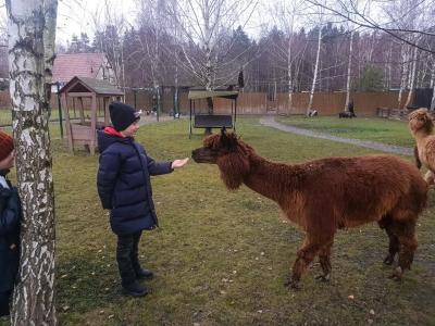 Пронино - 30
