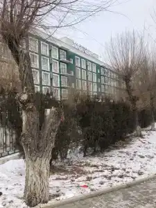 Виктория - 8