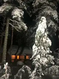 Курмойла - 22