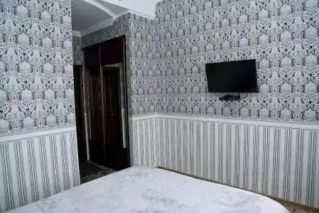 Елки - 6