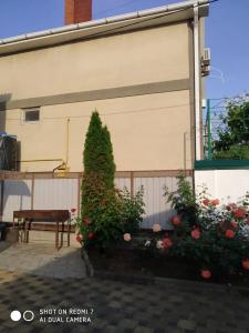 Толстого 31 - 29