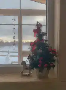 ПолеДом - 32