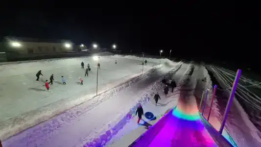 Сосновый - 13