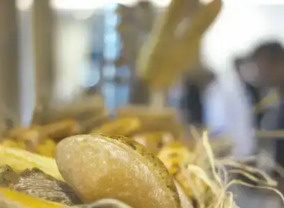 La Quinta by Wyndham Istanbul Gunesli - 6