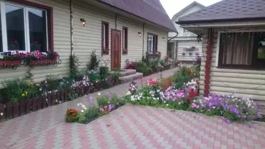 Кувшинка - 18