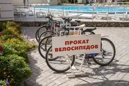 Творческая волна - 5