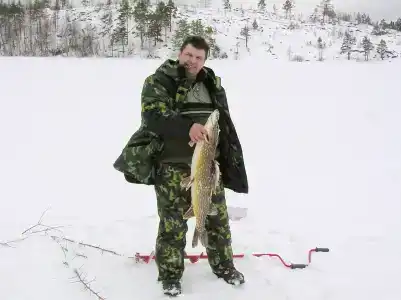 Моя Мечта - 2