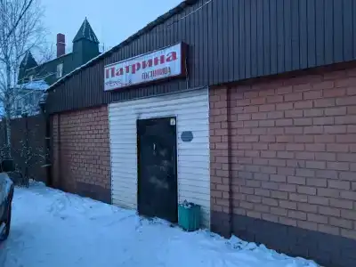 Патрина - 4