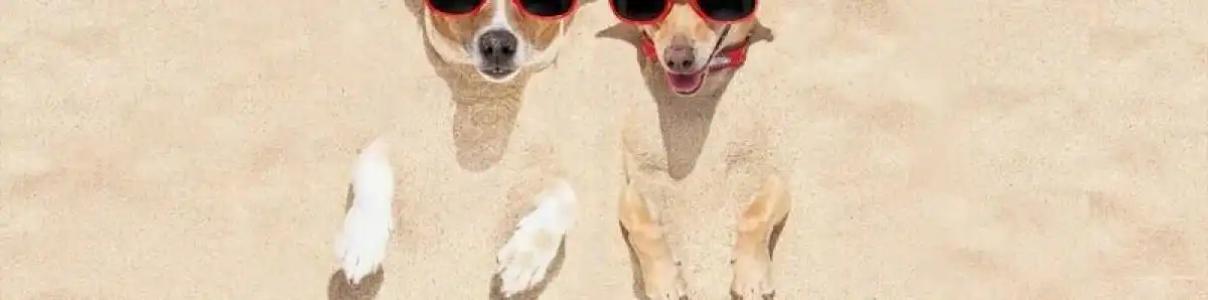 Ac By Marriott Punta Cana - 78