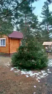 Избушка на опушке - 54