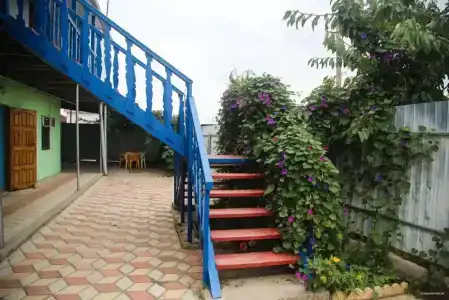 Азовский персик - 3