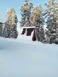 Эдельвейс - 19
