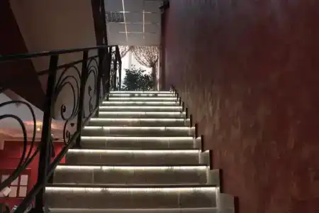 Регина Университетская - 11