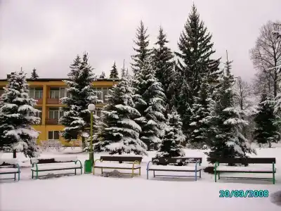 Зеленая роща - 16