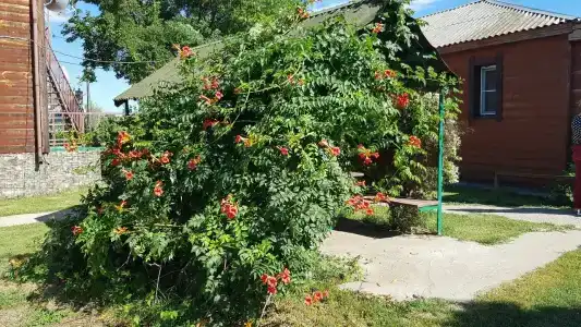 Славянка - 8