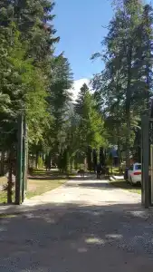 Лесной дом - 48