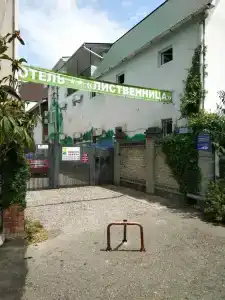 Лиственница - 8