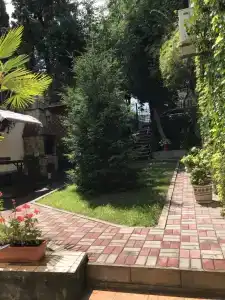 Мечта - 31