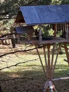 Избушка на опушке - 18