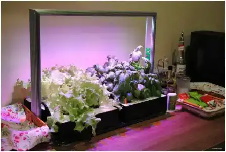 Дятьково - 32