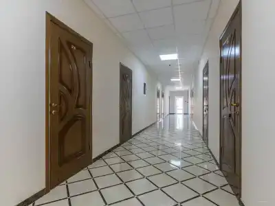 Трио - 24