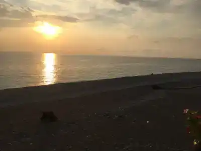 SunSet - 40