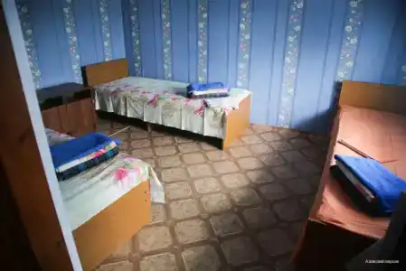 Азовский персик - 16