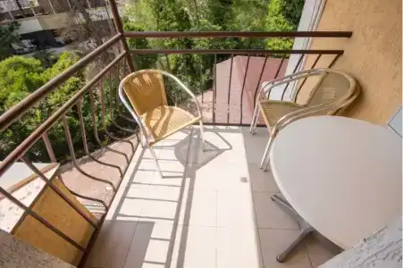 Виноград - 36