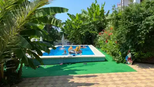 Фламинго - 30