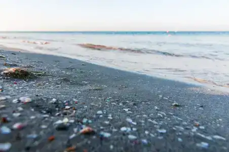 Пансионат Del Mar - 10