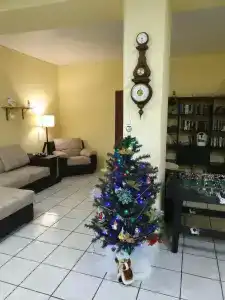 Зелёная роща - 38