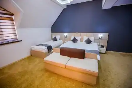 Art Regency Premium Free Airport Service - 46