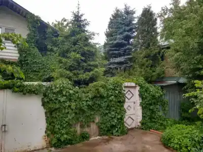Ирис-2000 - 0
