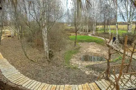 Нестеровых - 19