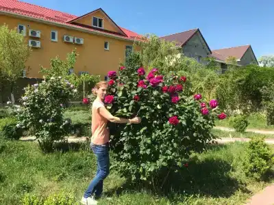 Капитан Врунгель - 11