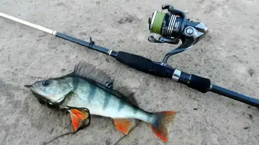 Karelia Village - 10