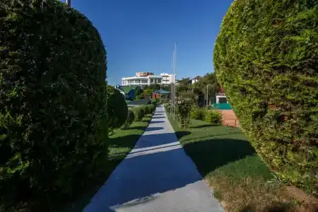 Вязовая роща - 53