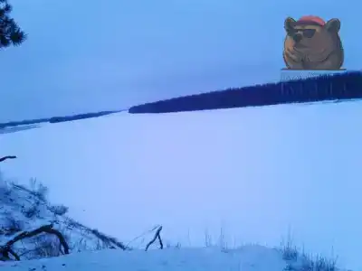 Берлога - 48