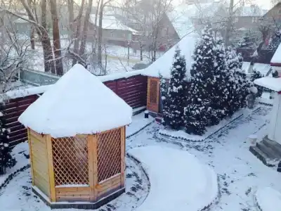 Четыре короны - 20