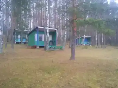 Ландыш - 2