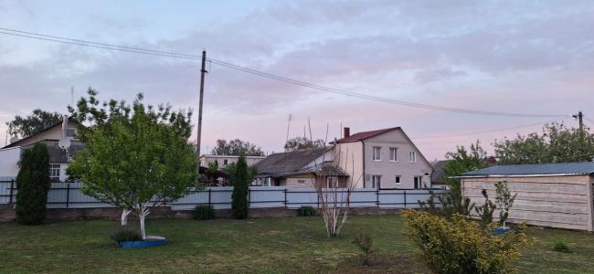 Белые розы - 8
