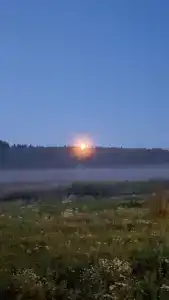 Берег Серого - 16
