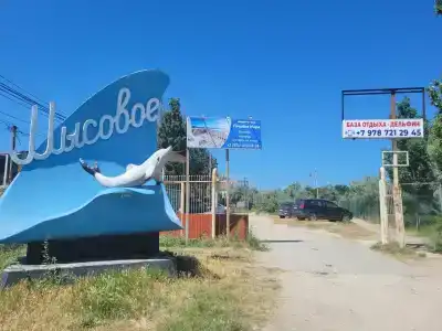 Дельфин - 29